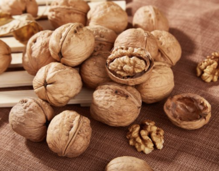 Captura de pantalla 2024 07 30 a las 11.57.09 a. m 768x601